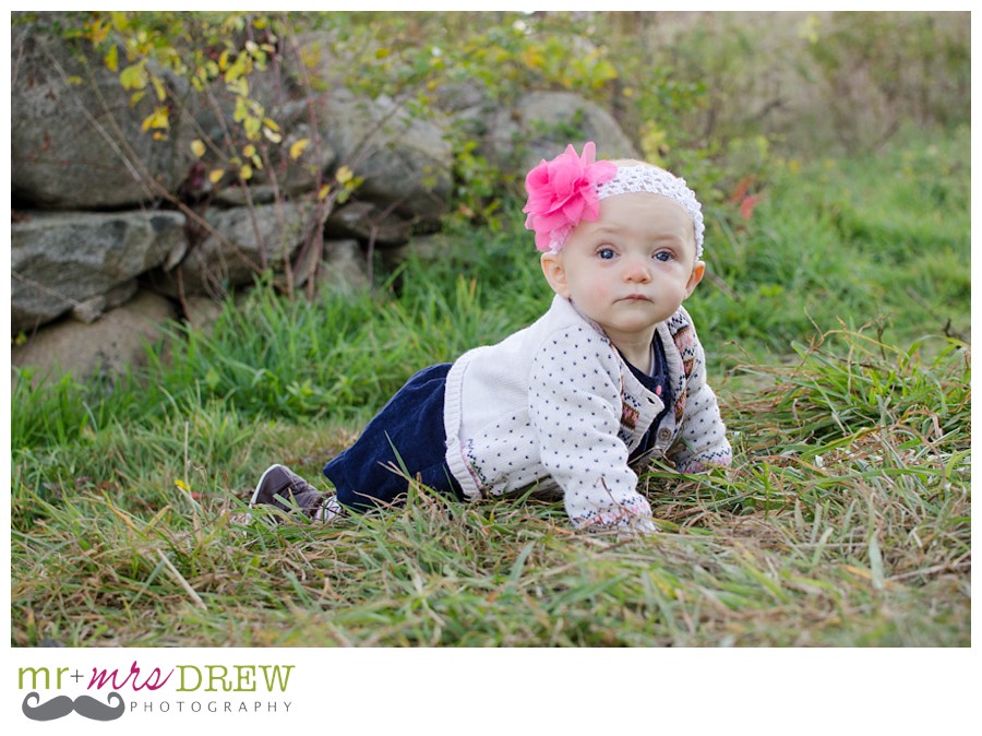 Westport Town Farm Family Session